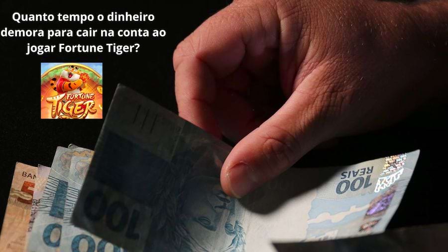 chat estrela bet