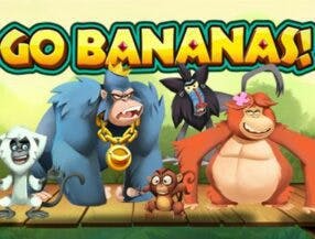 b1bet entrar login e senha